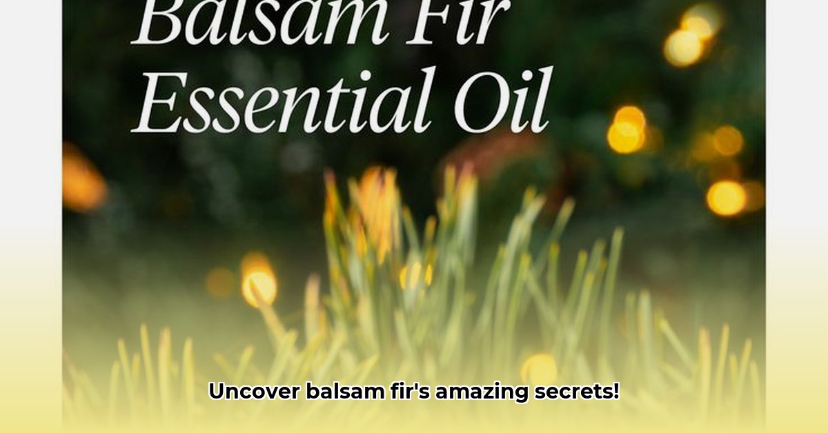 benefits-of-balsam-fir-essential-oil